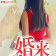 婚來如此 婚來如此