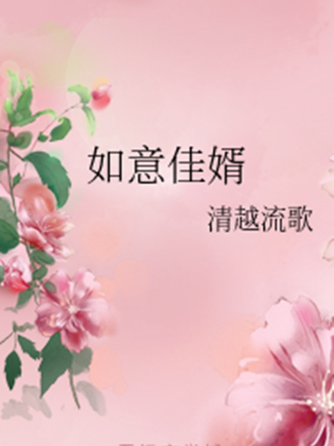 如意佳婿 如意佳婿