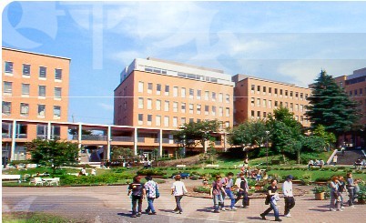 櫻美林大學