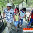 吳樹樑 吳樹樑