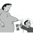 懷孕協定 懷孕協定