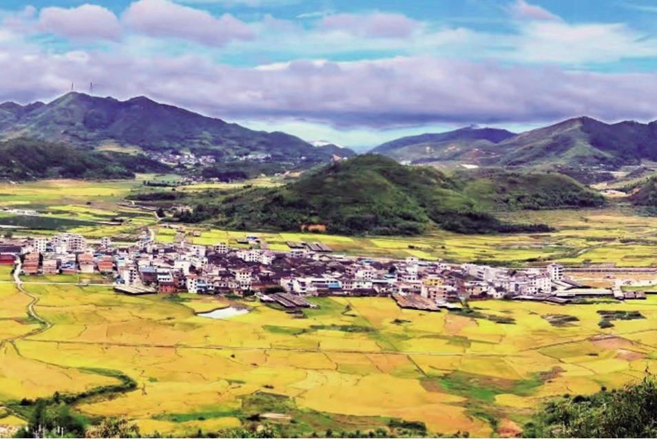 杉洋村(福建省寧德市古田縣杉洋鎮下轄村)