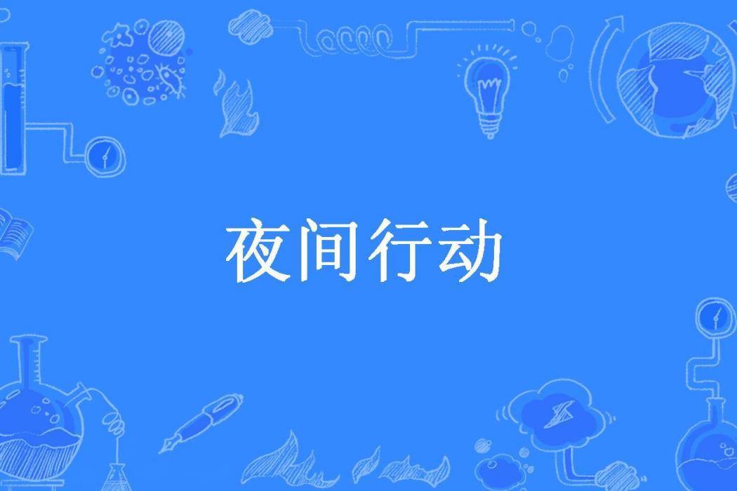 夜間行動(家有壞貓所著小說) 夜間行動(家有壞貓所著小說)