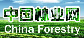 中國林業網