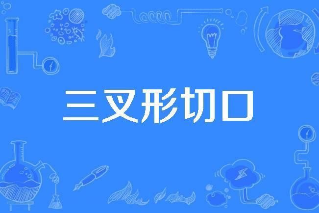 三叉形切口 三叉形切口