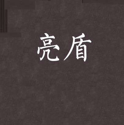 亮盾(米蘭船長創作的網遊類小說) 亮盾(米蘭船長創作的網遊類小說)