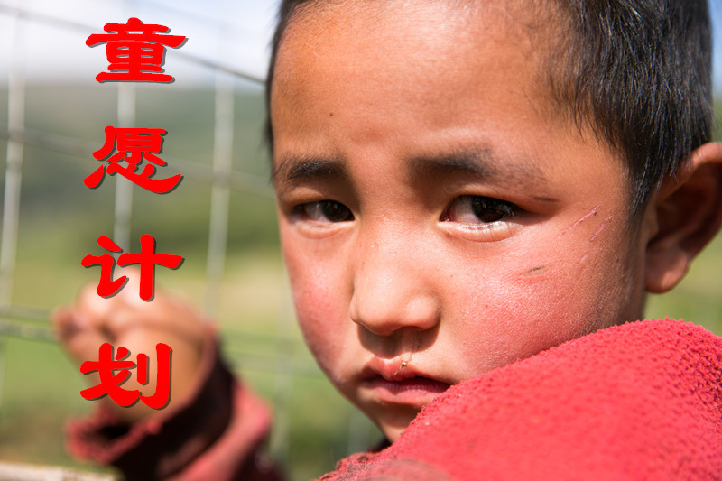 童願計畫 童願計畫