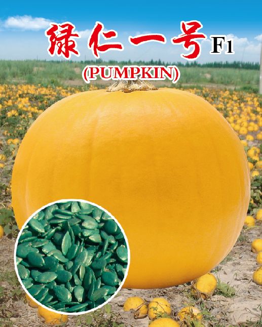 綠仁一號 綠仁一號