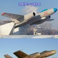 伊爾-28(IL-28)