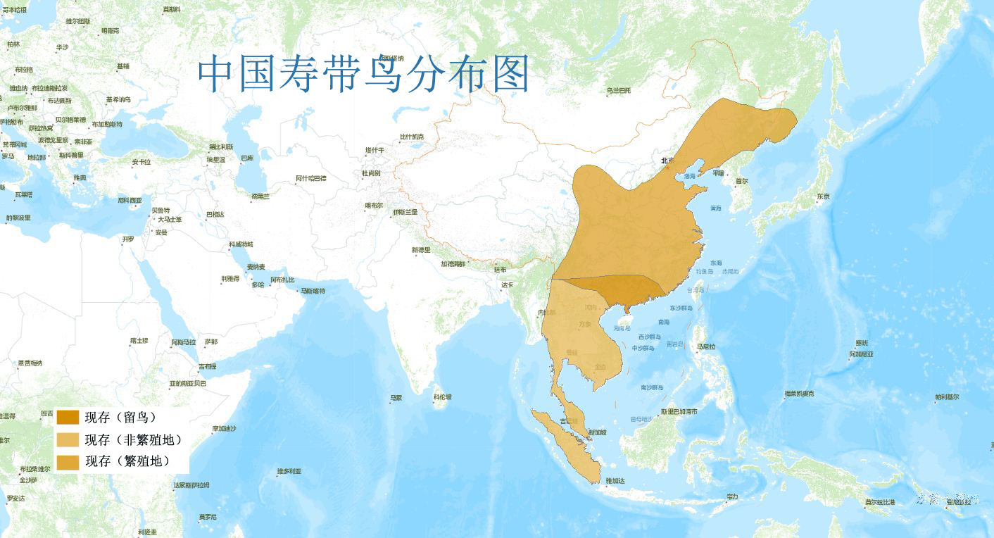 中國壽帶鳥分布圖