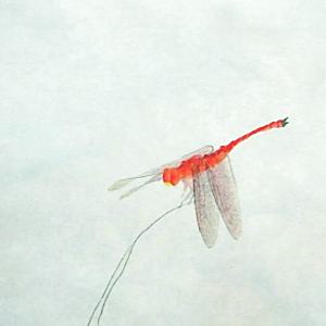 田仲愚 田仲愚