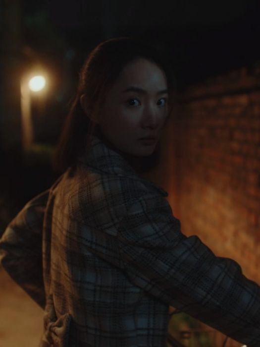 張小燕(家庭懸疑劇《回來的女兒》中的角色) 張小燕(家庭懸疑劇《回來的女兒》中的角色)