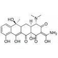 氨醯-tRNA 氨醯-tRNA