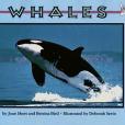 Whales(Mondo Pub出版的圖書) Whales(Mondo Pub出版的圖書)
