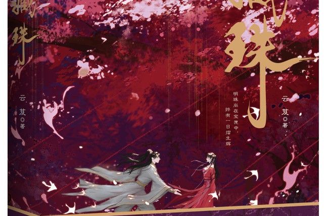 藏珠(雲芨創作的小說)