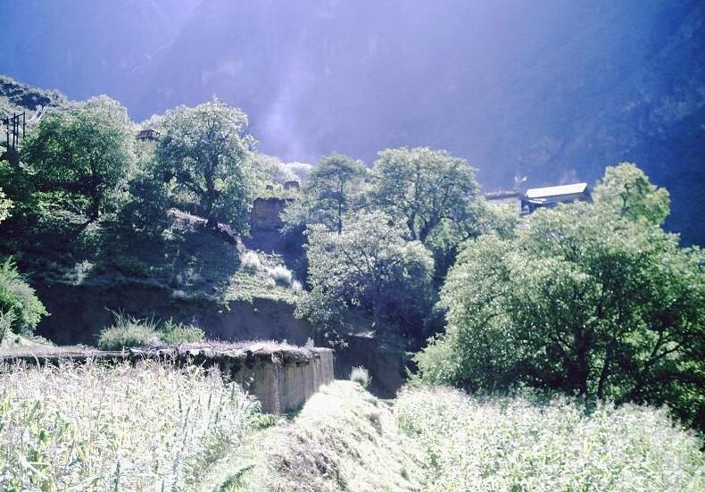 東達村 東達村