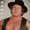 鮑勃·奧頓(Bob Orton) 鮑勃·奧頓(Bob Orton)