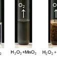 催化劑(化學中的改變反應物的化學反應速率)