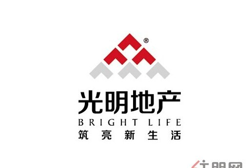 光明房地產集團股份有限公司(海博股份)