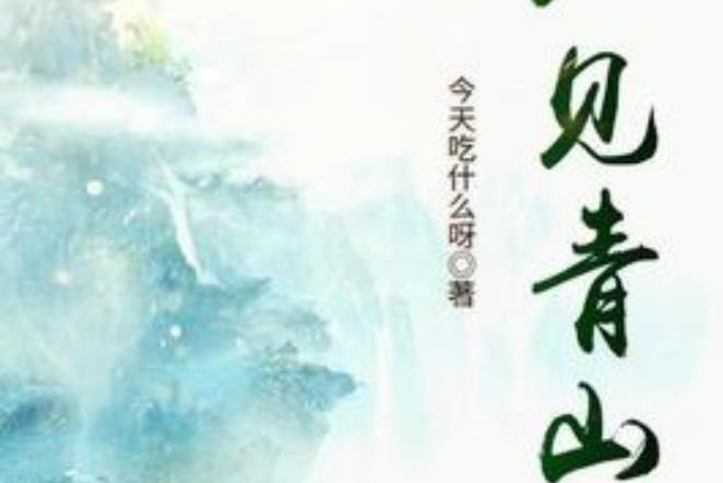 不見青山(今天吃什麼呀所著小說) 不見青山(今天吃什麼呀所著小說)