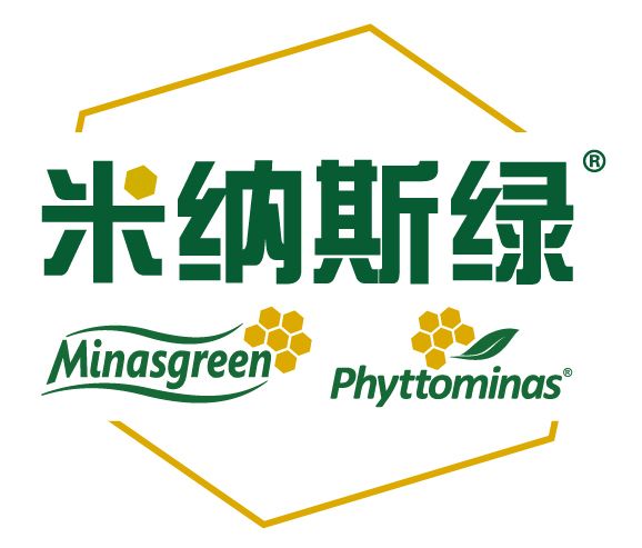 米納斯綠 米納斯綠