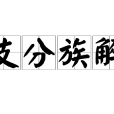 支分族解 支分族解