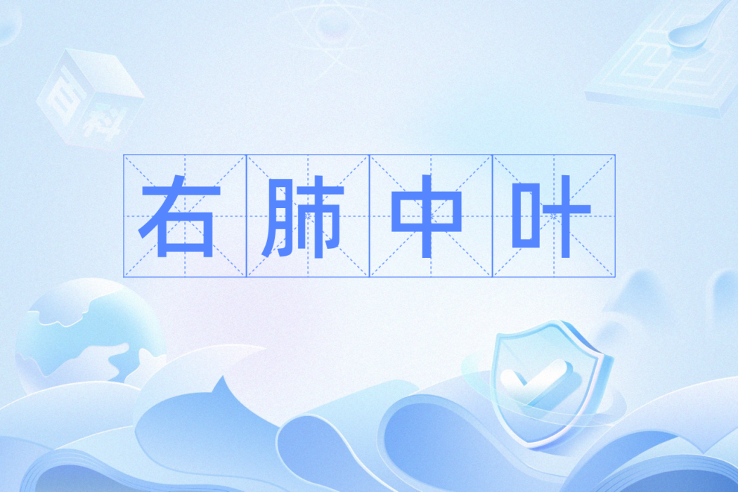 右肺中葉