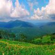 登高山 登高山