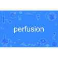 perfusion perfusion