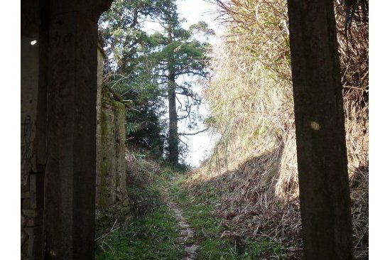 曳嶺古道 曳嶺古道
