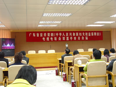 廣東省《中華人民共和國婦女權益保障法》辦法