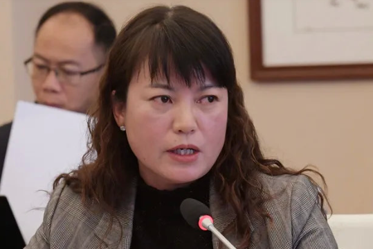 排金芬 排金芬