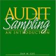 Audit Sampling Audit Sampling