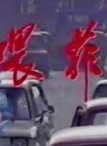 于洋(中國國家話劇院一級演員)