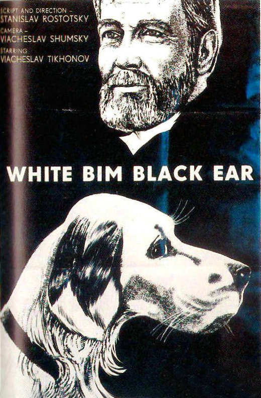 白比姆黑耳朵(1977年的電影)