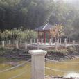 小浦村 小浦村