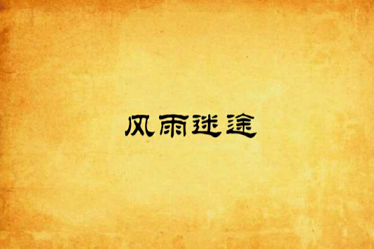 風雨迷途