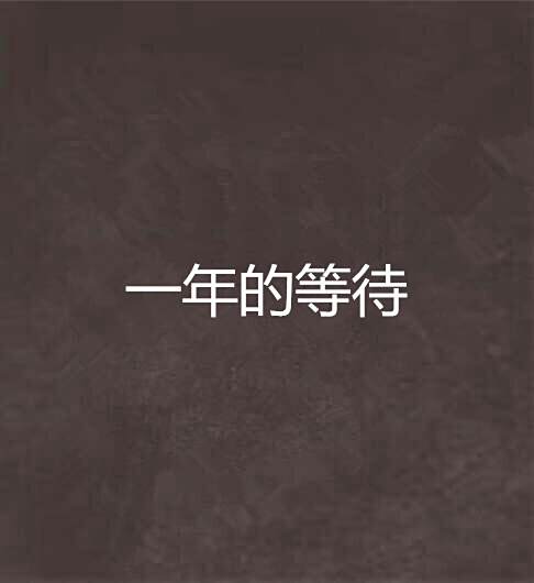 一年的等待