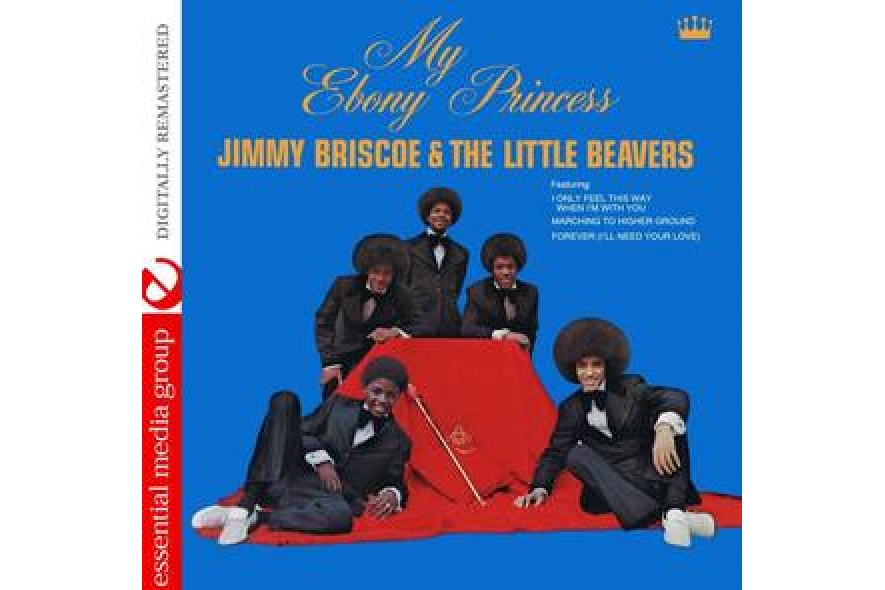 the Little Beavers the Little Beavers