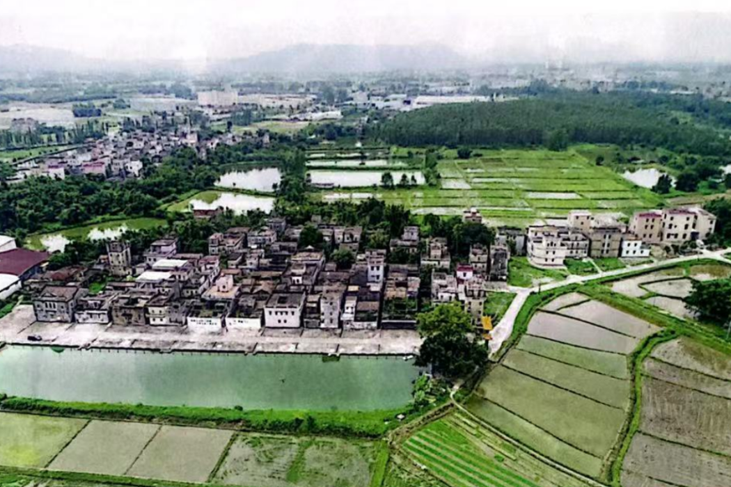 田心村(廣東省江門市開平市赤坎鎮中廟行政村下轄自然村)