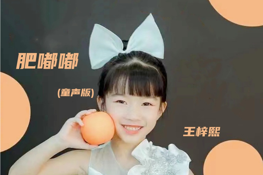 王梓熙(中國內地少年歌手) 王梓熙(中國內地少年歌手)