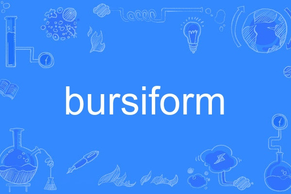 bursiform bursiform