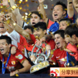 2013年中國體育十大新聞