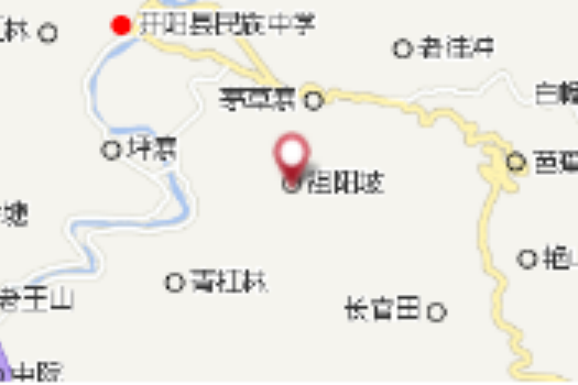 祖陽大隊