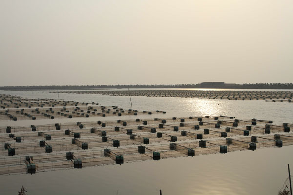 海產養殖