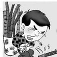 清明蔗 清明蔗