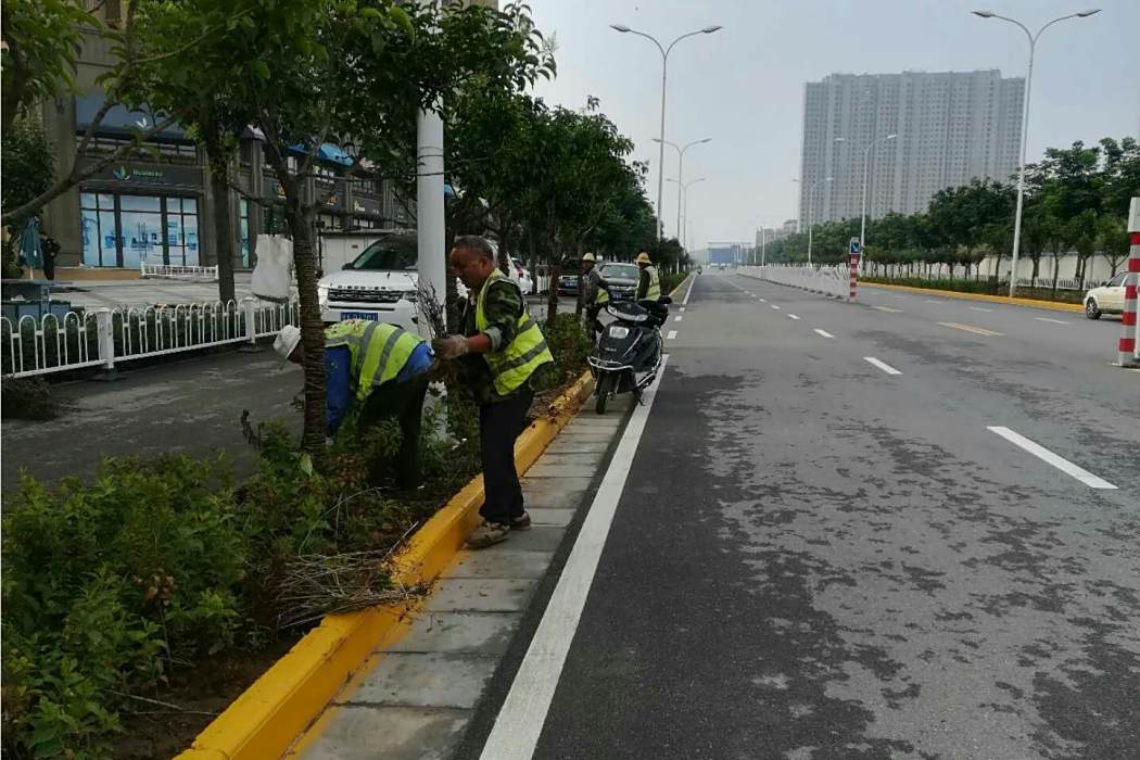 白龍池路