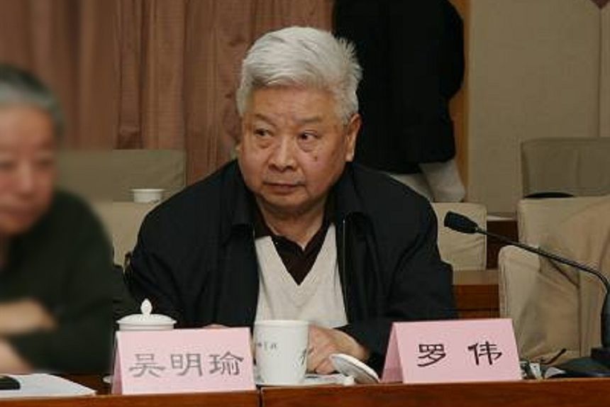 羅偉(原中科院科技政策與管理科學研究所所長) 羅偉(原中科院科技政策與管理科學研究所所長)