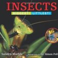 Insects Insects