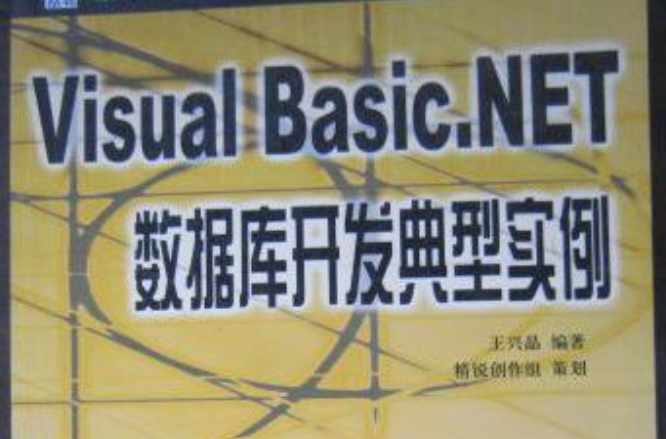 Visual Basic.NET資料庫開發典型實例